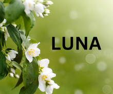 Load image into Gallery viewer, Luna Scent
